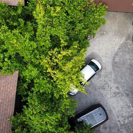 At Leaf Villa เชียงใหม่ ภายนอก รูปภาพ